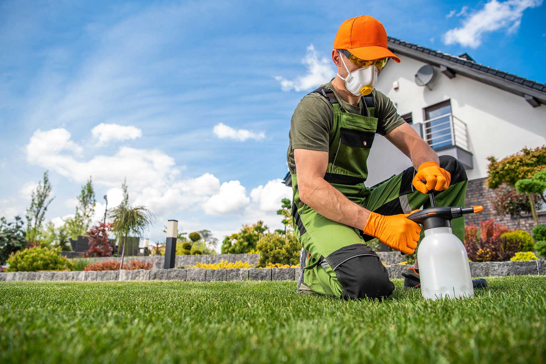Pest Control in Navarre, FL Pest Control in Navarre, FL