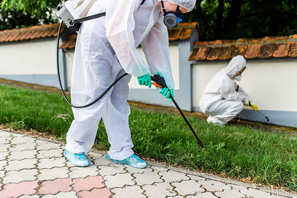 Pest Control Company in Navarre, FL